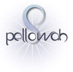 Pellowah Healing Technique logo